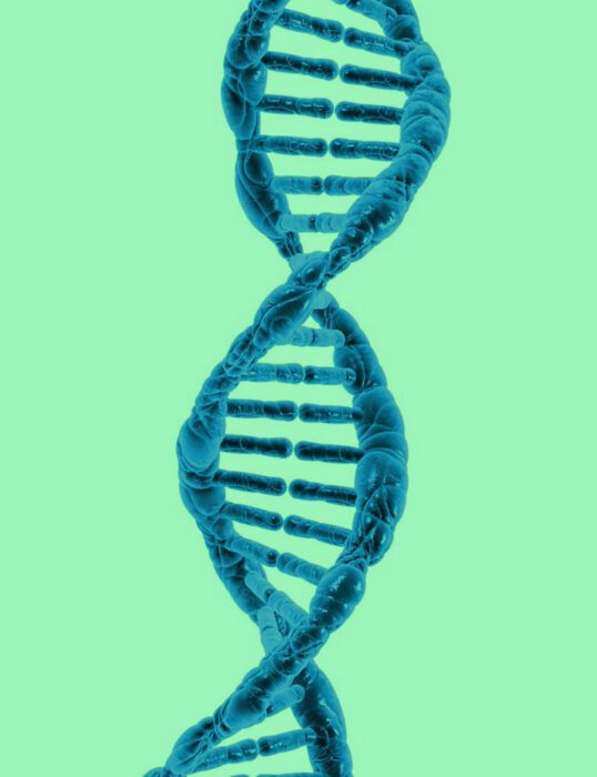 DNA strand