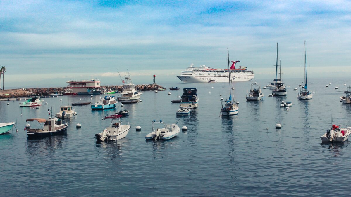 Yachts on the water